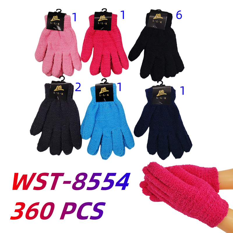 WST-8554 CS360